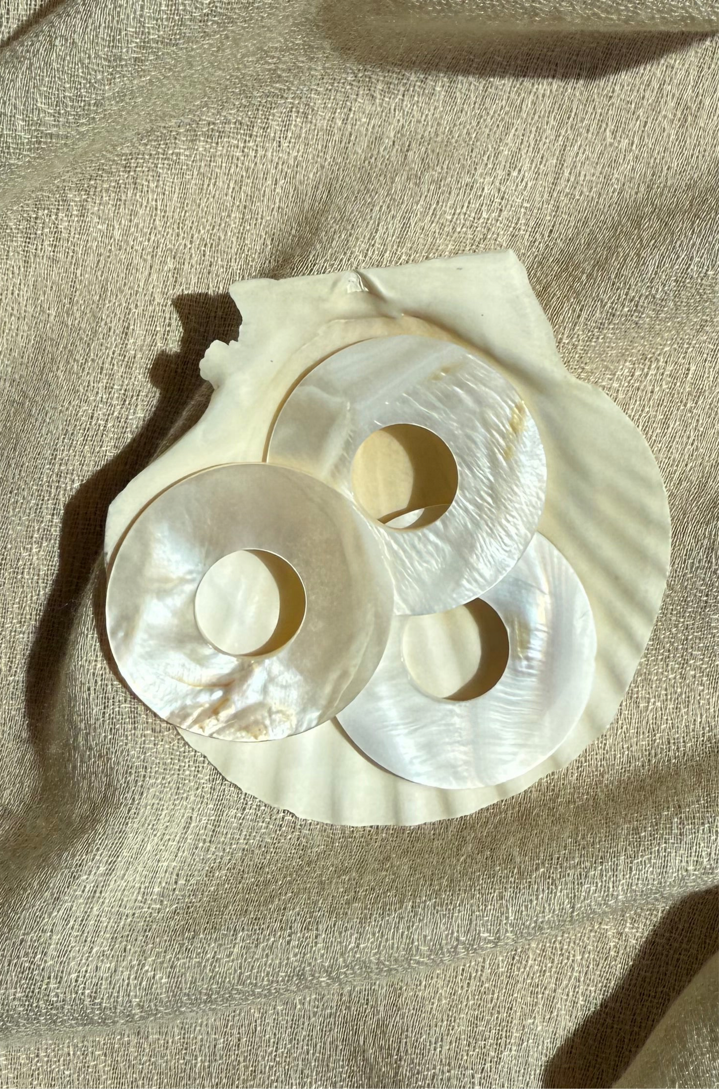 Shell of Light - donut Anhänger aus Perlmutt