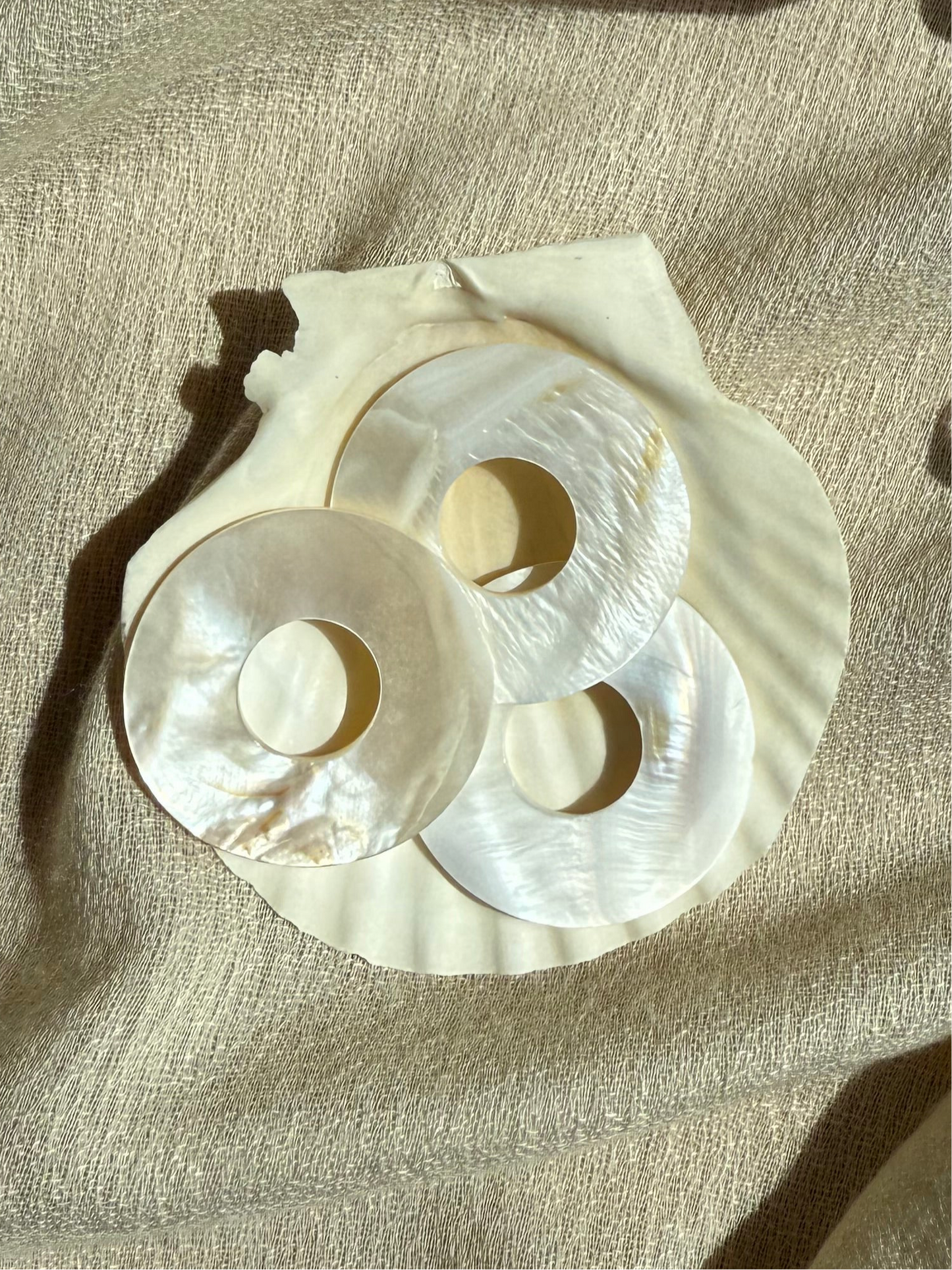 Shell of Light - donut Anhänger aus Perlmutt