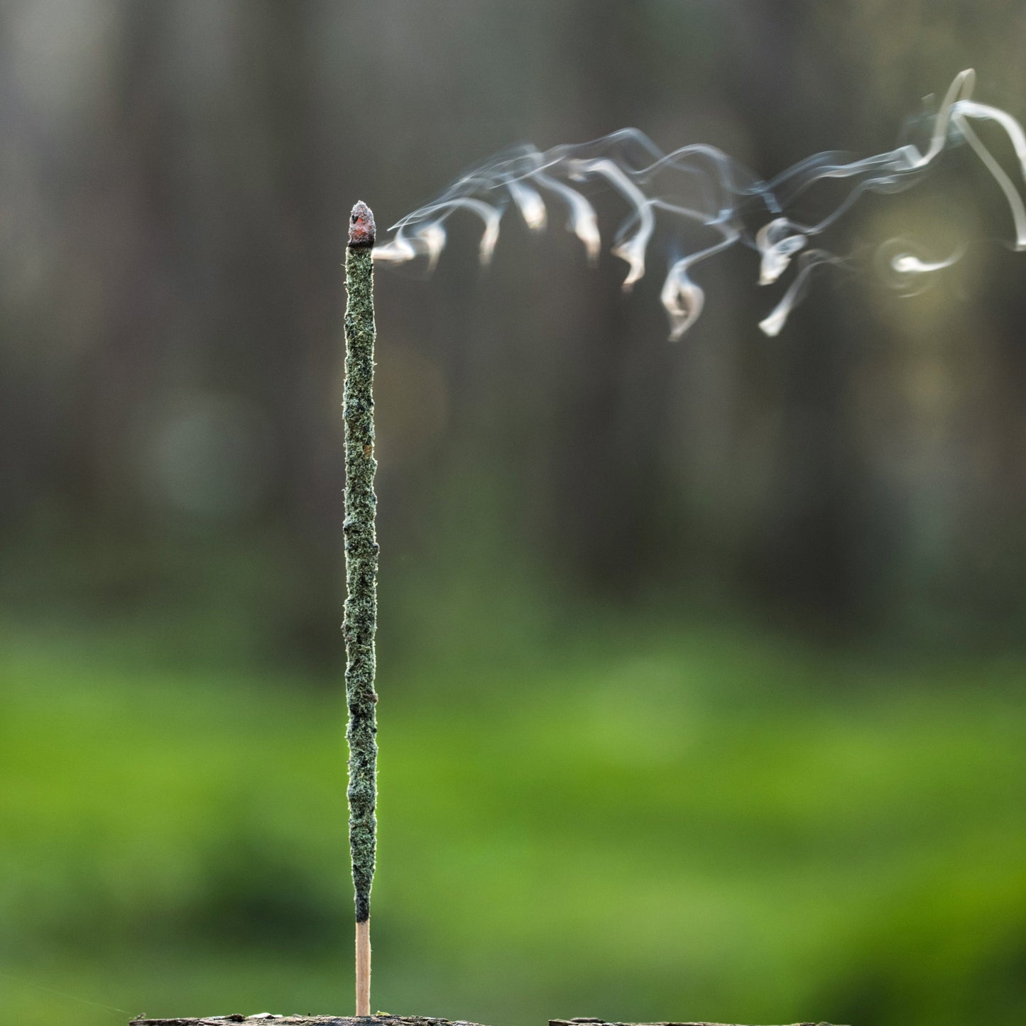 Ein grüner, erdender Masala-Blend: Eukalyptus & Lorbeer klären, Schwarze Orchidee öffnet das Herz, Vanille & Zedernholz erden warm und weich. Handgerollt, ~60 Min. pro Stäbchen.  