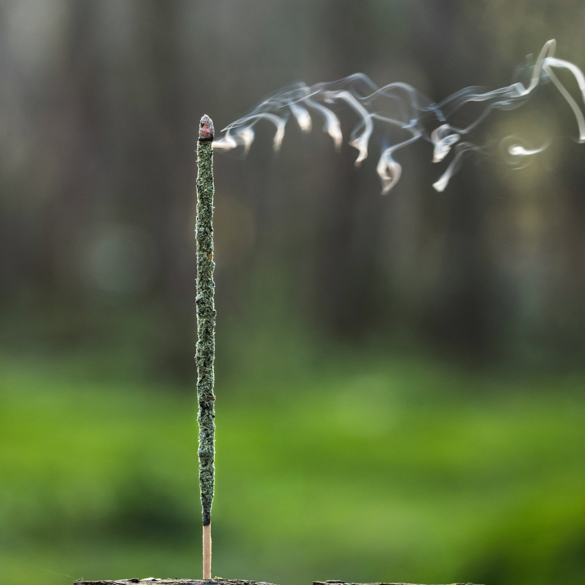 Ein grüner, erdender Masala-Blend: Eukalyptus & Lorbeer klären, Schwarze Orchidee öffnet das Herz, Vanille & Zedernholz erden warm und weich. Handgerollt, ~60 Min. pro Stäbchen.  
