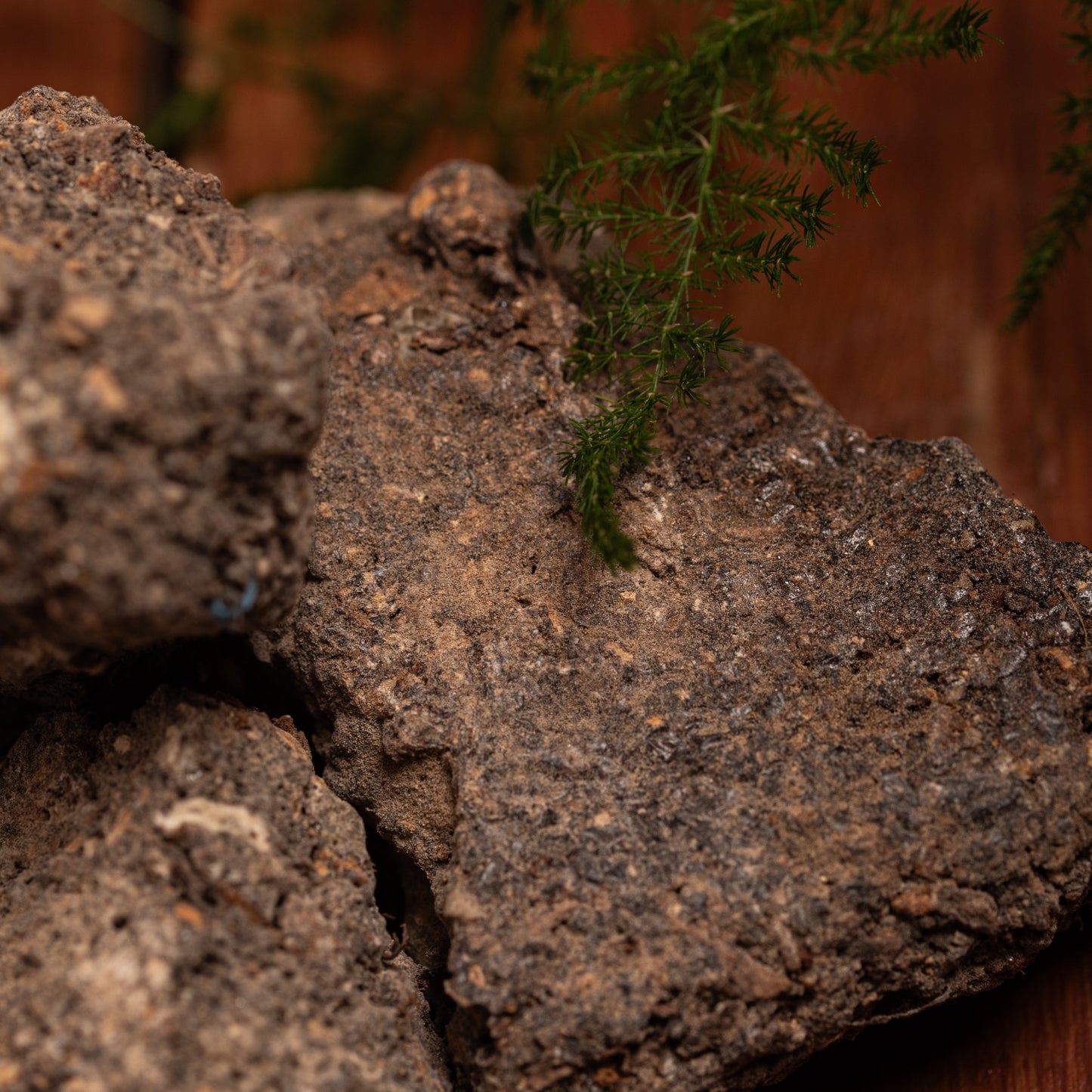 Sagrada Madre Benzoin Räucherstäbchen – süß-harziger Duft aus Benzoe-Harz für Schutz, Heilung und Herzöffnung